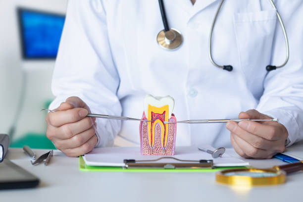 Best Orthodontic Emergency Dentist in San Leandro, CA